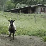 Il Daino Bianco Country 컨트리하우스 *