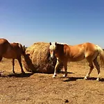 Il Daino Bianco Country 컨트리하우스 *